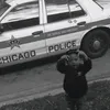 noxchi_kvkz