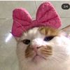 alinazlaya7