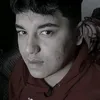 vinci_silva