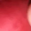 snakesol_