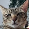 _catmom_23