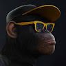 polishmonkeyv1