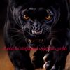 alasd95