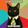 thezcat1
