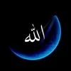 user01830469