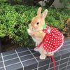 bunnymcsnuggles