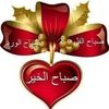 tarekmohamedahmed2
