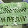 shannoninthesink