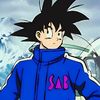 dragonball16829