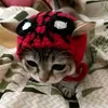 bunnibluur