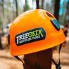 Treeosix Adventure Parks