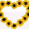 thiswhatpeacelooklike