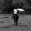 marceelrayo