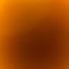 user5551212a