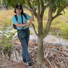 baovan_67b275375