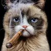 tatoon_