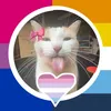 charmy__kitty