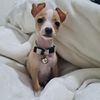 tobby_052004