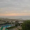 freazy08