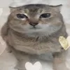 pickledfarts69
