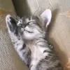 bgw.rjwqpi.nkpj