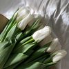 zainabn116