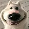 traidepphuquochahahahaha