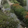 salma_1989_salma