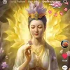 kimngoc_2108_