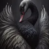 blackswan_090