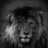 gb.da.gama.7