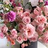 joyandabundance