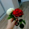 krt.kz765
