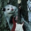 grunge.possum