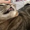 xcinnxx