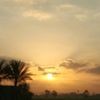 ali_5_5_8