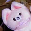 sham_eno