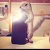 joseth_cevallos