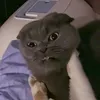 malinka_40
