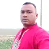 sukkur498