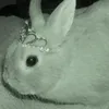 bunnieminded