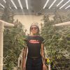 thehighspiritedlife