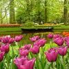 aishah_od