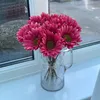 alfiesmummy75