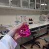 dopamine67