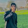 zooz1_2_3