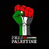 ayeshajamil46