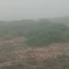 userysvezkuxjn