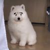 pjm_jm1395