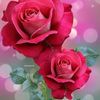 user7920166383837